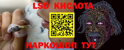 Альфа ПВП Кингисепп