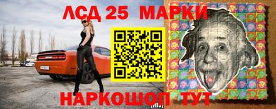 Альфа ПВП Кингисепп