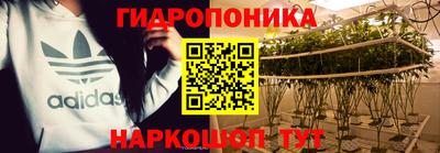 трава Кинель