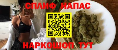Альфа ПВП Кингисепп