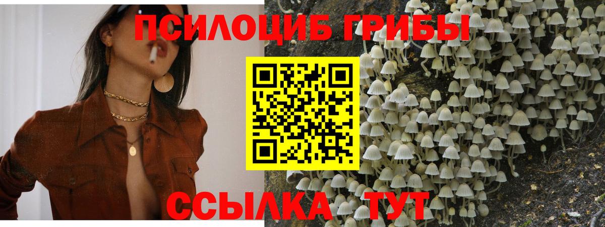Псилоцибиновые грибы MAGIC MUSHROOMS Коммунар