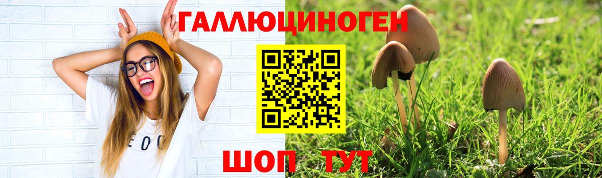 Коммунар  Псилоцибиновые грибы прущие грибы  Вход с VPN 